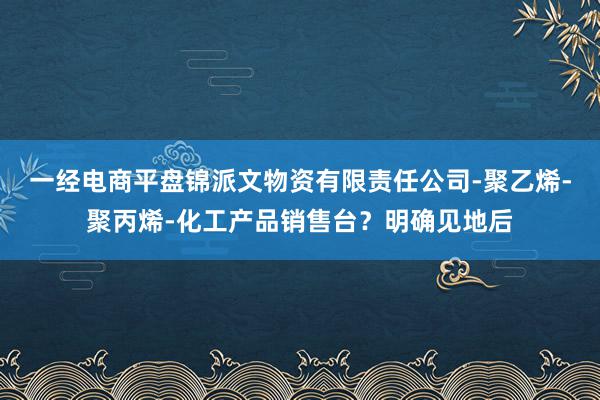 一经电商平盘锦派文物资有限责任公司-聚乙烯-聚丙烯-化工产品销售台？明确见地后